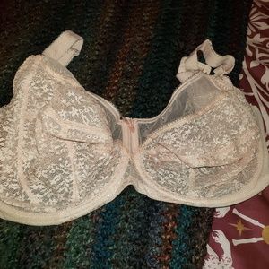Beautiful Blush Pink 42I Lace Goddess Bra